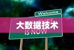 大数据技术，揭秘一个引领时代的专业