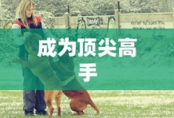 斗罗大陆免费版全集观看高清
