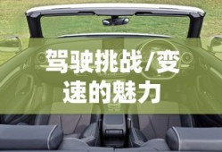 极品飞车13，变速的魅力与驾驶挑战