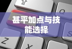 甚平加点与技能选择