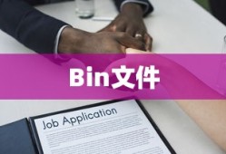 揭秘Bin文件，功能与用途的深入解析