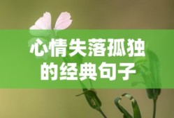 孤独失落心情的经典句子