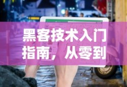 黑客技术入门指南，从零到一的探索之旅