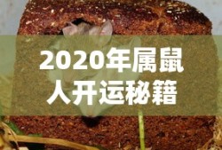 CF手游礼包，性价比与价值双重考量