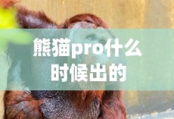 熊猫pro什么时候出的