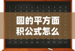 圆的平方面积公式怎么算