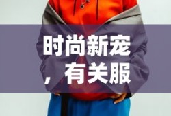 时尚新宠，服装搭配软件