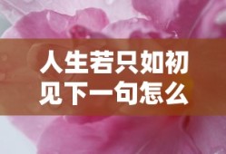 人生若只如初见下一句怎么说