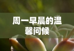 fgo花嫁尼禄怎么样