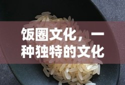 饭圈文化，一种独特的文化现象
