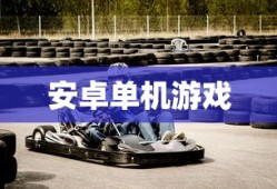 好玩的安卓单机游戏推荐，安卓单机游戏推荐，玩转趣味游戏榜单