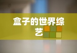 盒子的世界综艺