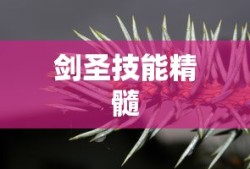 DNF手游混团攻略，如何轻松组队？