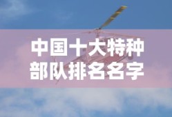 中国十大特种部队排名名字
