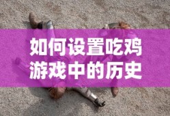 吃鸡游戏中历史战绩的隐藏方法