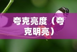 探寻微观世界的明亮之源，为什么夸克那么亮？