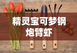后妈的春天小说阅读免费