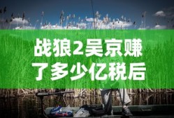 战狼2吴京赚了多少亿税后