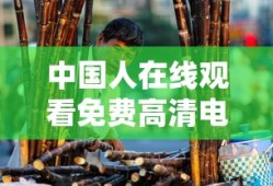 中国人在线观看免费高清电视剧