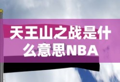 天王山之战是什么意思NBA