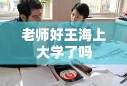 老师好王海上大学了吗