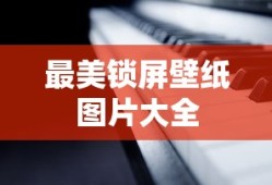 王宝强树先生电影名称