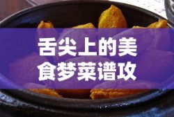 舌尖上的美食梦菜谱攻略