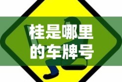 桂是哪里的车牌号码