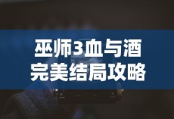巫师3血与酒完美结局攻略