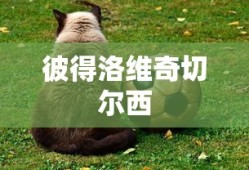 qq炫舞点券月底清空吗安全吗