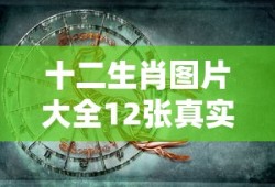 十二生肖图片大全12张真实图片