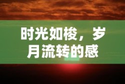 时光流转，岁月如梭的感悟