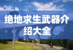 绝地求生武器介绍大全
