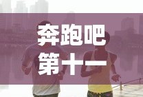 奔跑吧第十一季免费观看完整版