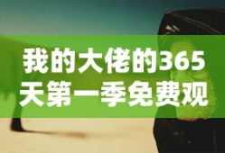 我的大佬的365天第一季免费观看西瓜