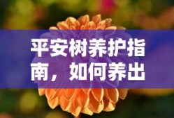 平安树茂盛绿意养护指南