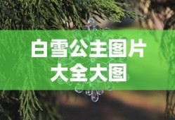 白雪公主图片大全大图