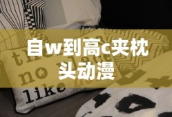 自w到高c夹枕头动漫