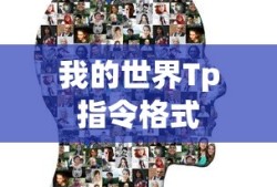 巨钳天蝎种族值