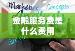 金融服务费是什么费用