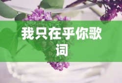 我只在乎你歌词