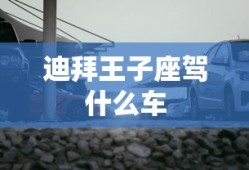 迪拜王子座驾什么车