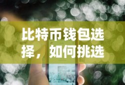 如何挑选最适合您的比特币钱包？