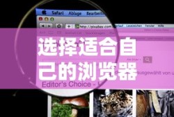 选择适合自己的浏览器，如何挑选最佳浏览器？