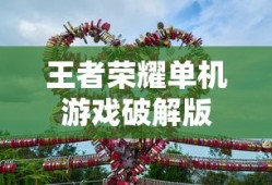 王者荣耀单机游戏破解版