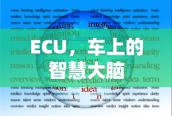 ECU，车上的智慧大脑