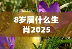 8岁属什么生肖2025