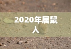 可颂明日方舟图片