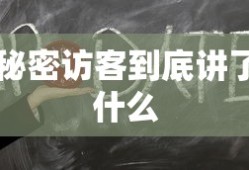 秘密访客到底讲了什么