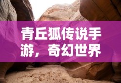 青丘狐传说手游，奇幻世界的探险之旅，青丘狐传说手游，奇幻探险之旅启程